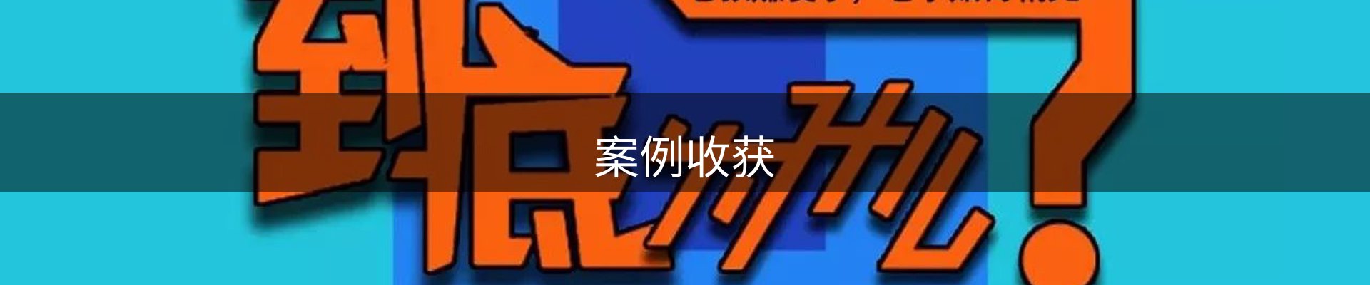 案例收获